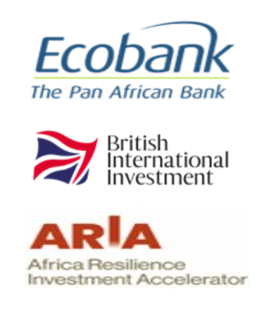 Ecobank Transnational Incorporated